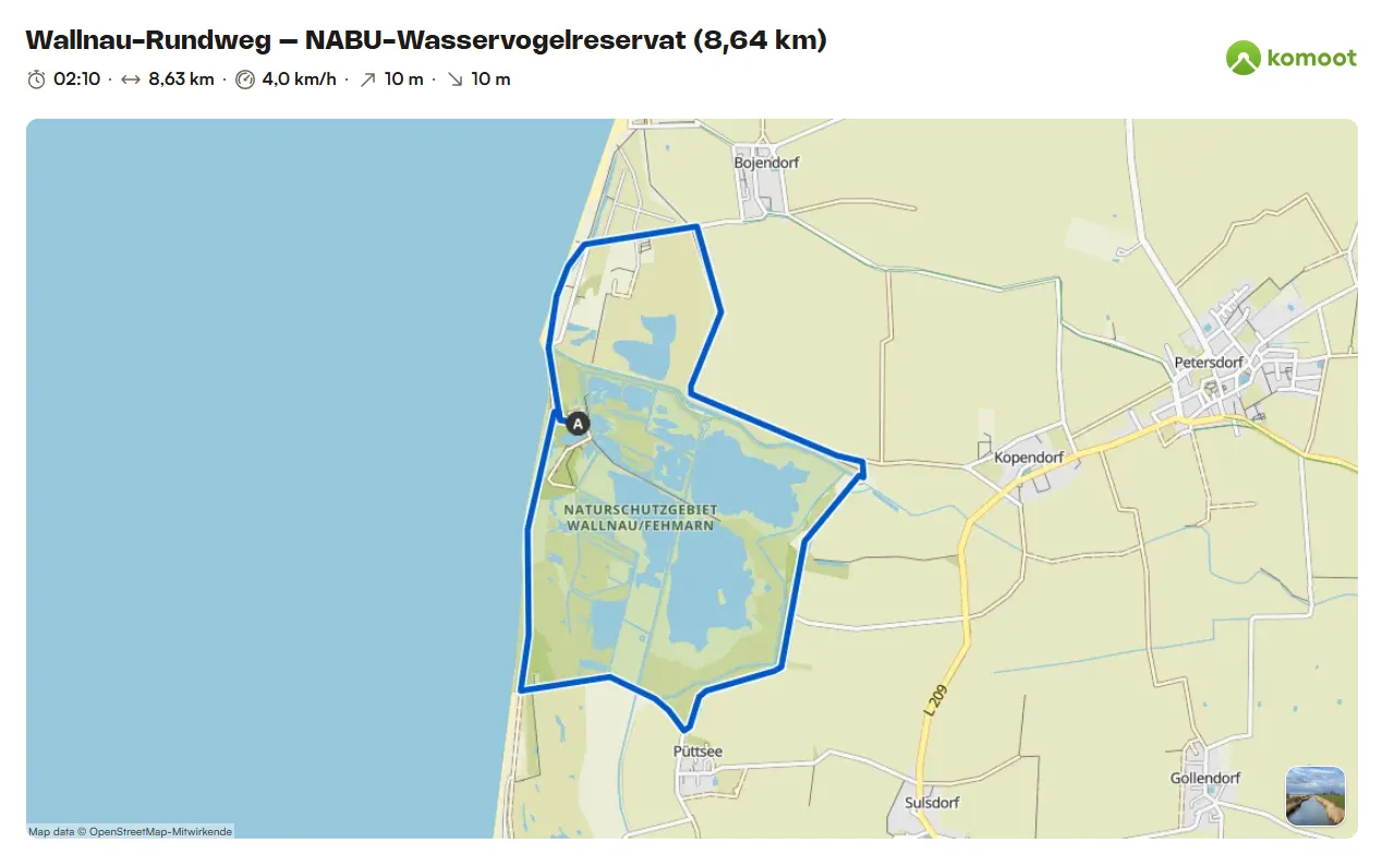 Wallnau-Rundweg – NABU-Wasservogelreservat (8,64 km)